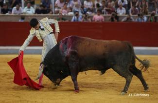 Triunfador XXV Alfarero de Oro 2025