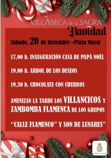 Villaseca20dic2025