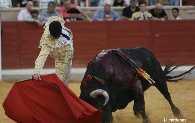 4ª Novillada XXVI Alfarero de Oro 2026
