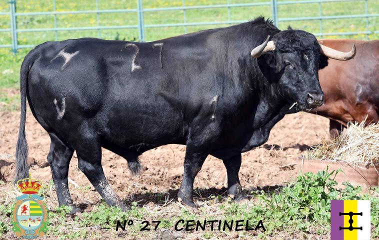 CENTINELA