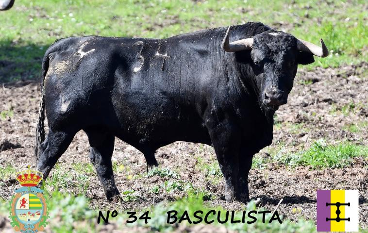 Basculista 
