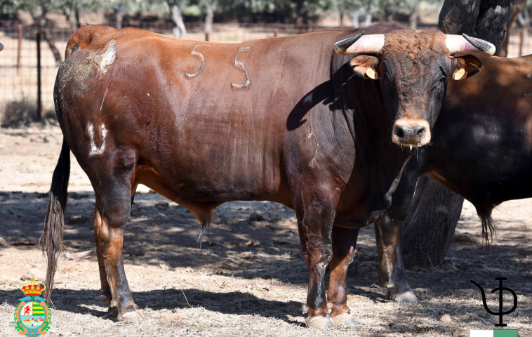 Pedraza de Yeltes 
