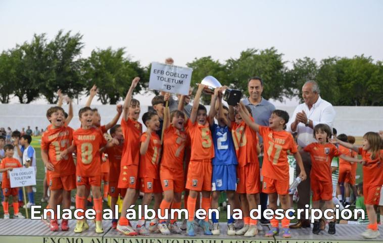 Albumcampeonato.