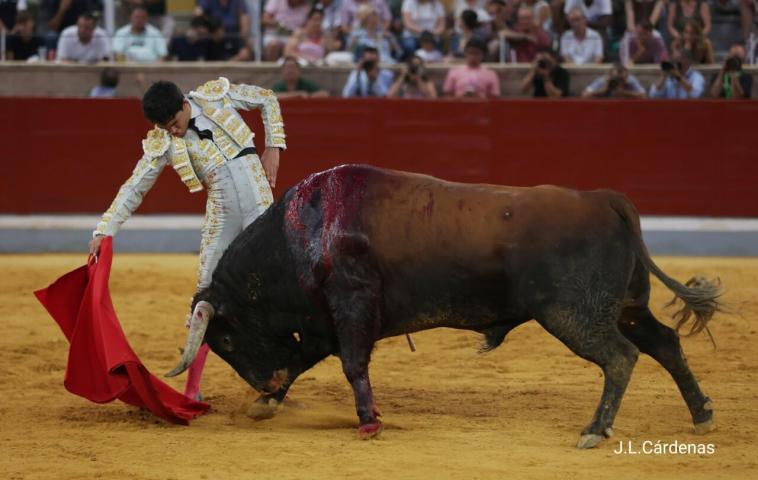 Triunfador XXV Alfarero de Oro 2025