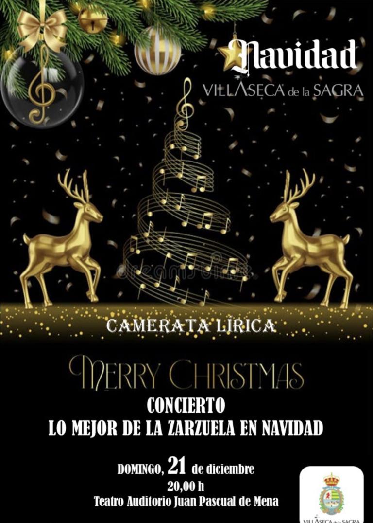 ConcertoNavidaddVillaseca
