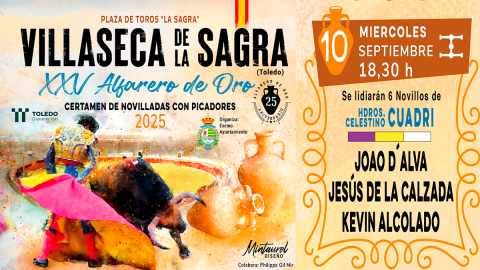 8ª Novillada XXV Alfarero de Oro 2025