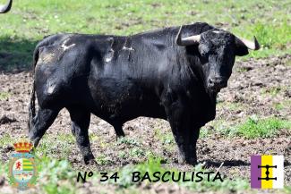 Basculista 