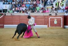 RESUMEN FOTOGRÁFICO CUARTA NOVILLADA XXII CERTAMEN ALFARERO DE ORO 2022 