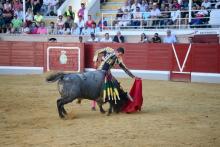 RESUMEN FOTOGRÁFICO CUARTA NOVILLADA XXII CERTAMEN ALFARERO DE ORO 2022 4