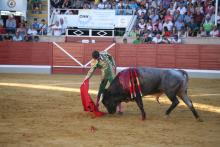 RESUMEN FOTOGRÁFICO CUARTA NOVILLADA XXII CERTAMEN ALFARERO DE ORO 2022  5