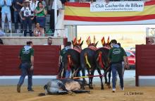 RESUMEN FOTOGRÁFICO CUARTA NOVILLADA XXII CERTAMEN ALFARERO DE ORO 2022  20