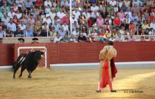 RESUMEN FOTOGRÁFICO ÚLTIMA NOVILLADA XXII CERTAMEN ALFARERO DE ORO 2022