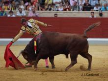 RESUMEN FOTOGRÁFICO ÚLTIMA NOVILLADA XXII CERTAMEN ALFARERO DE ORO 2022