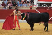 RESUMEN FOTOGRÁFICO ÚLTIMA NOVILLADA XXII CERTAMEN ALFARERO DE ORO 2022