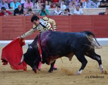 Galería Quinto Festejo XXII Alfarero de Oro 2022 2