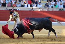 Galería Quinto Festejo XXII Alfarero de Oro 2022 10