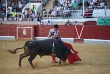 Galería Quinto Festejo XXII Alfarero de Oro 2022 11