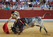 Galería Quinto Festejo XXII Alfarero de Oro 2022 4