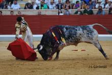 Galería Quinto Festejo XXII Alfarero de Oro 2022 18