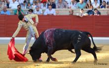 3ª De Feria XXII Alfarero de Oro 2022