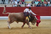 Galería Quinto Festejo XXII Alfarero de Oro 2022 19