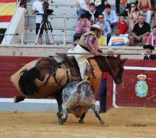 Galería Quinto Festejo XXII Alfarero de Oro 2022 3