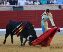 RESUMEN FOTOGRÁFICO PRIMERA NOVILLADA XXII CERTAMEN ALFARERO DE ORO 2022 6