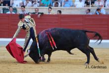 RESUMEN FOTOGRÁFICO PRIMERA NOVILLADA XXII CERTAMEN ALFARERO DE ORO 2022 9