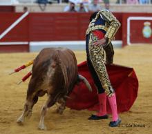 RESUMEN FOTOGRÁFICO PRIMERA NOVILLADA XXII CERTAMEN ALFARERO DE ORO 2022 13