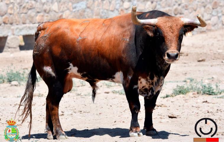 Conde de Mayalde