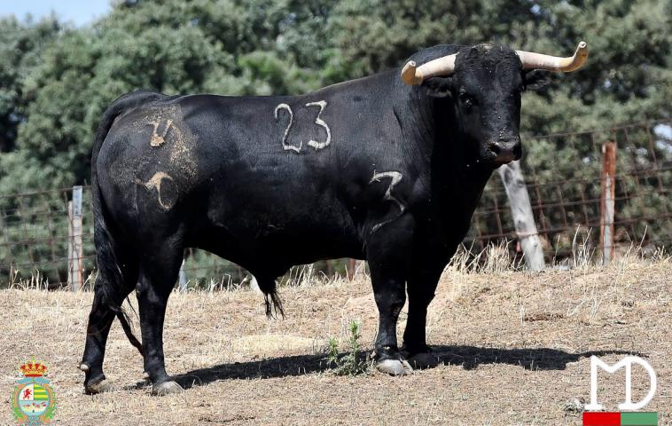 Montealto