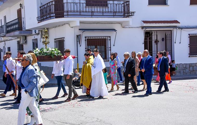 Corpus24